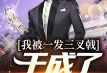 小说《我被一发三叉戟，干成了祁同伟！》章节免费阅读-山楂文学