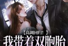 无删减版《高调回归！我带着双胞胎虐他来了》全章节阅读-山楂文学