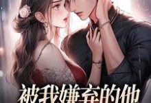 无删减版《被我嫌弃的他，竟成了我的港湾》全章节阅读-山楂文学