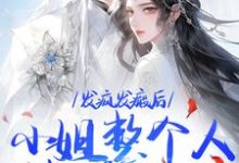 《发疯发癫后，小姐整个人都美好了》全集免费在线阅读（沈昭宁宋文轩）-山楂文学