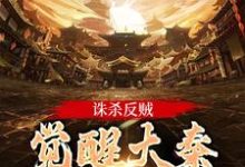 无删减版《诛杀反贼，觉醒大秦千年气运》在线免费阅读-山楂文学