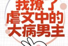 求林瑧陆厌小说免费资源-山楂文学