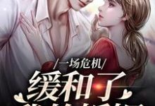 已完结小说《一场危机，缓和了我的婚姻》免费阅读-山楂文学