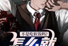 无删减版《不是吃软饭吗？怎么就真爱了！》免费阅读-山楂文学