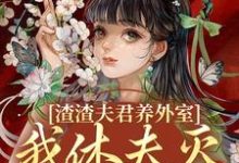 小说《渣渣夫君养外室，我休夫灭妾另高嫁》免费阅读-山楂文学