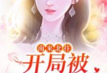 无删减版《南来北往：开局被汪新喂糖》在线免费阅读-山楂文学