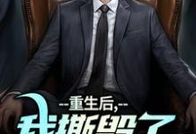 《重生后，我撕毁了离婚协议书》小说主角陆泽白糯免费在线阅读-山楂文学