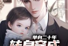 男女主人公艾辰小说单身二十年，转身穿成八岁娃他爸免费阅读-山楂文学