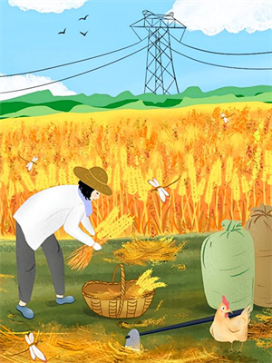 八零娇宠：撩拨失忆糙汉后躺赢了这本小说怎么样？免费在线阅读试试