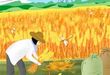 郁可可厉寒爵小说只留残香锁清秋章节免费阅读-山楂文学