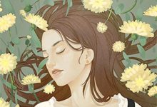 明月有光人有情免费阅读，明月有光人有情沈清音顾泽-山楂文学