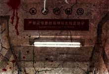 完结版《孤渡洪流萧瑟》章节阅读-山楂文学