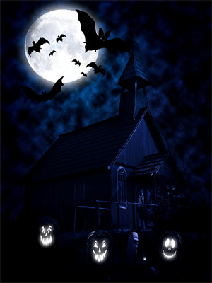 求咒回观影体：五条悟不存在的世界小说免费资源